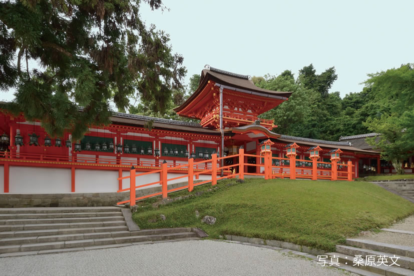 Kasuga Grand Shrine（Photo：桑原英文）